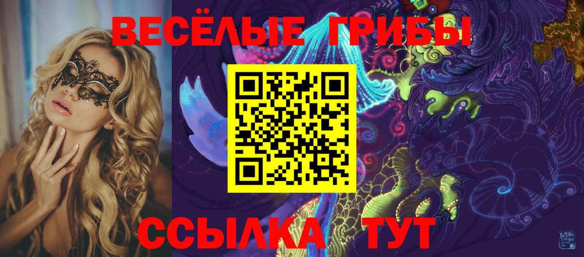 Псилоцибиновые грибы мицелий  Вход с VPN  Зеленокумск  Псилоцибиновые грибы Psilocybe 
